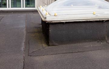 disadvantages of Dewlish flat roofs
