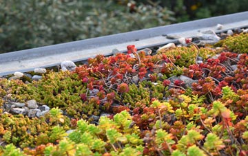 the cost of Dewlish green roof installation