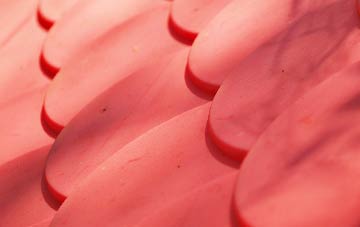 Dewlish plastic roof costs