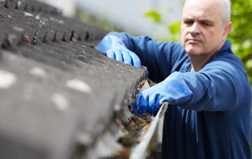 cleaning and inspecting Dewlish roofs