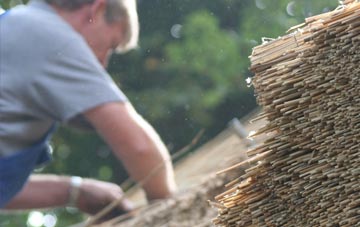 professional Dewlish thatchers