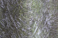 Dewlish fibreglass roof work